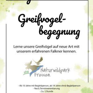 Gutschein: Greifvogelbegegnung