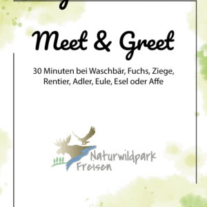 Gutschein: Meet & Greet